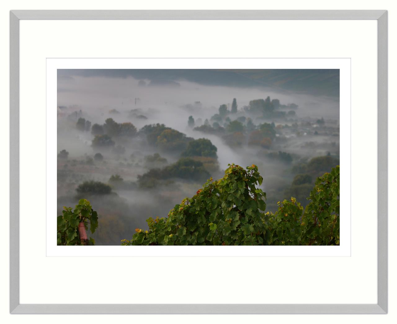 Mainschleife im Morgennebel