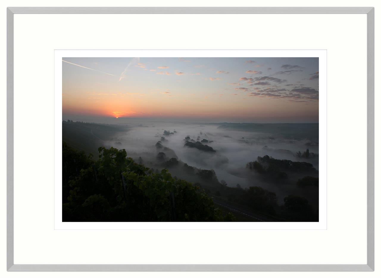 Mainschleife im Morgennebel